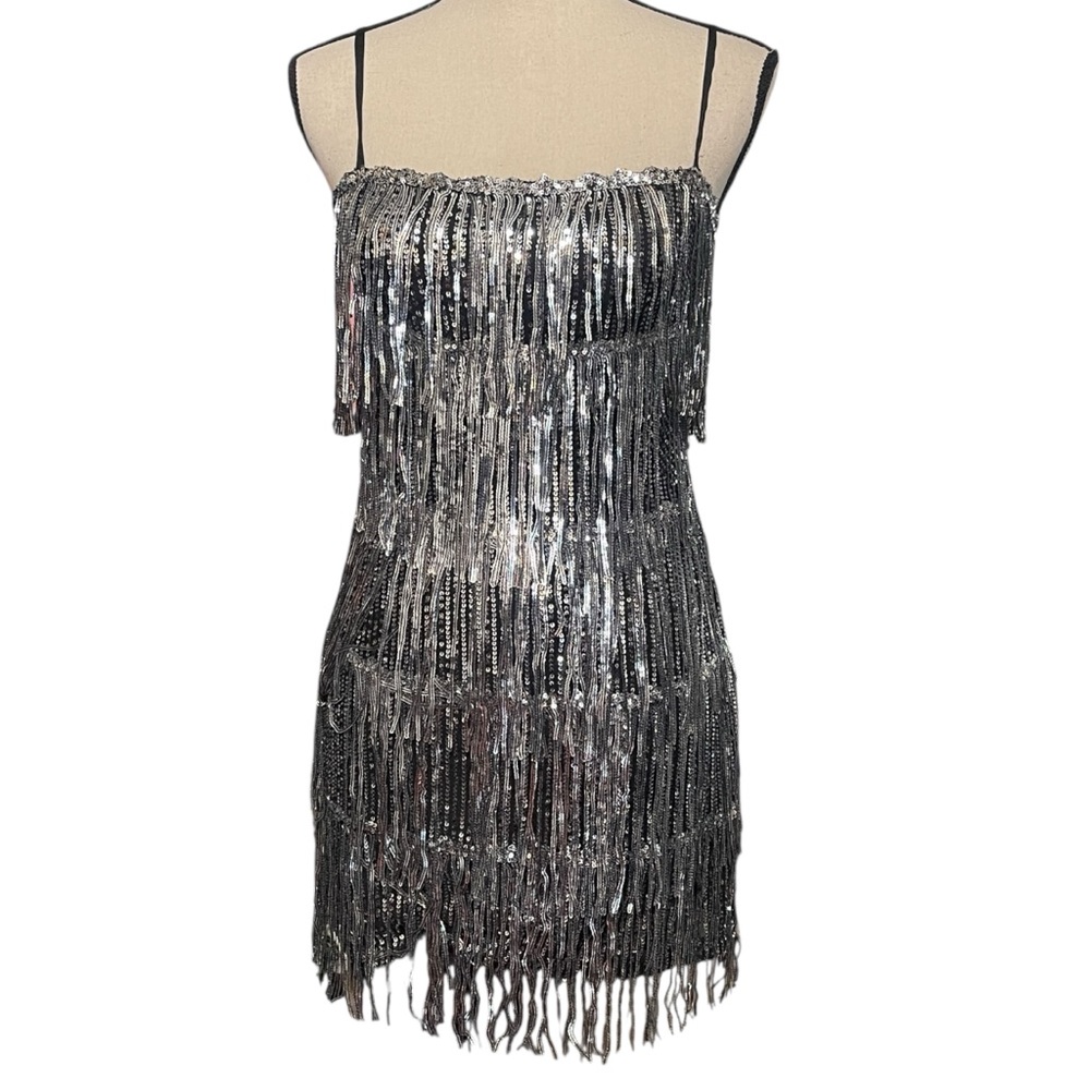 Day + Moon‎ Silver Sequin Layer Fringe Flapper Costume Party Dress Women's Small - Picture 3 of 15